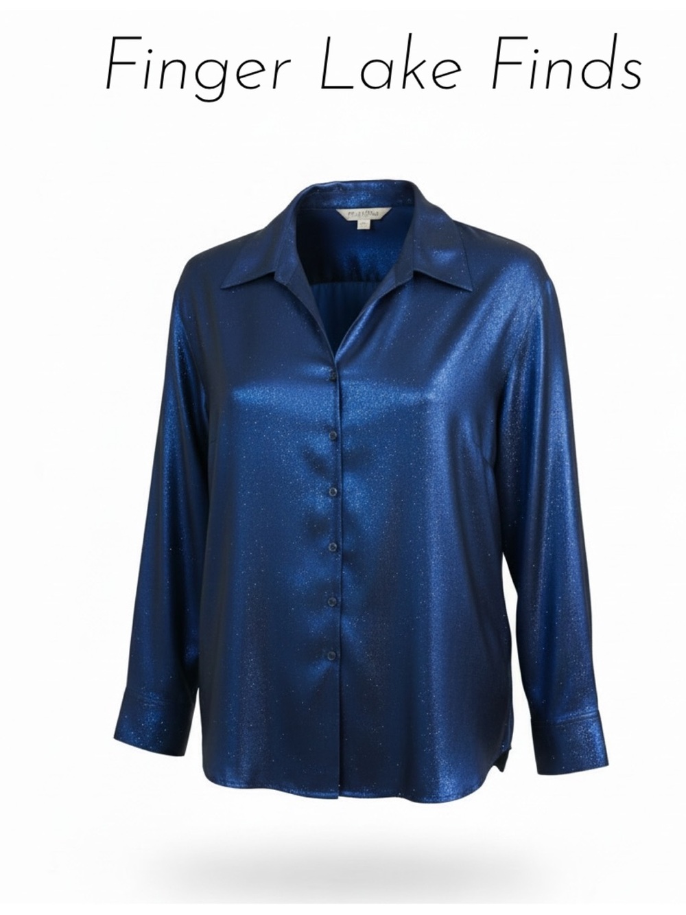 Fred David Vintage Iridescent Blue Blouse, 12